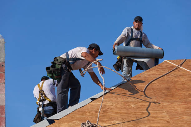 Best Roof Repair Services  in Churchill, MT